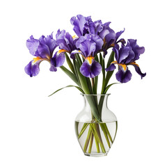 flower in a pot  Elegance in Simplicity: Iris Flowers in a Vase  isolated on transparent background PNG file

