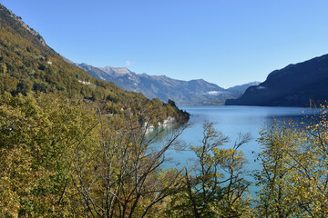 Lake Brienz in Early Autumn with Trees in Foreground