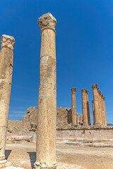 Pillars in Jerash. The temple of Artemis is in the  background.. Vertically. 