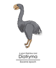 A prehistoric giant flightless bird, Diatryma, from the Eocene epoch.