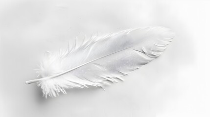 Elegant White Feather in Minimalistic High Contrast Monochrome on Soft White Canvas