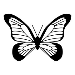 Vector hand-drawn illustration of Butterfly. Black Butterfly SVG isolated silhouette