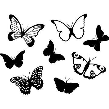 Vector hand-drawn illustration set of Butterflies. Black Butterfly collection. SVG Isolated silhouette