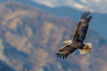 Soaring Eagle Over Autumn Mountains - Inspirational Nature Banner