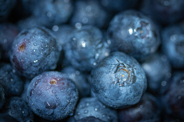Macro photography of the blueberries with water droplets. Food, fruits, blue food, tasty