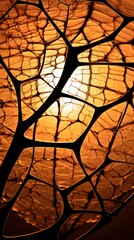 The intricate network of cells forming the epidermis layerSilhouette sunrise sunset