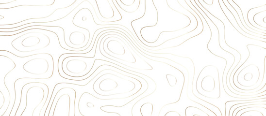 Abstract topography wavy line map background. vector illustration. topography map on land vector terrain Illustration. Black on white contours vector topography stylized height of the lines.	