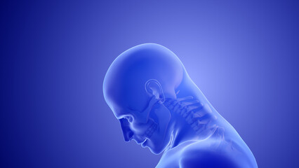 Obraz premium Whiplash mechanism in cervical spine or neck injuries