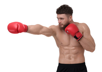 Man in boxing gloves fighting on white background