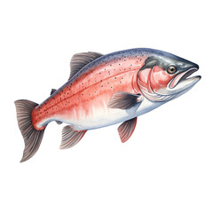 Salmon fish on white background сreated with Generative Ai
