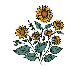  Common sun flower hand drawn illustration vector