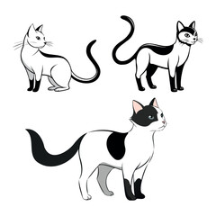 set of black and white cats in different poses