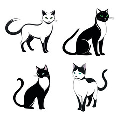 set of black and white cats in different poses