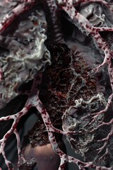 Interior of a Smoker's Lung Revealing Alveoli Damage