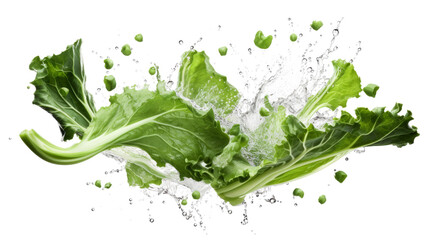 Rapini sliced pieces flying in the air with water splash isolated on transparent png.
