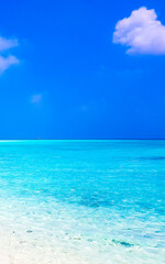 Natural tropical turquoise sandbank islands Madivaru Finolhu Rasdhoo Atoll Maldives.