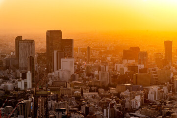 Cityscapes of tokyo gold sunset winter, Skyline of Tokyo, office building and downtown of tokyo in minato, Japan, Tokyo is the world's most populars metropolis and centers for world business. - 754928276
