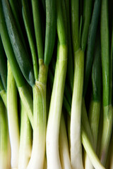 김치, 파김치,파전,과메기에 사용되는 쪽파