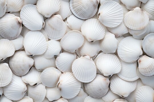 Lustrous White shellfish pattern. Sea decoration. Generate Ai