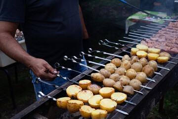 Cooking shashlik on a metal skewer and grilled vegetables. Grilled meat and vegetables. Delicious street food.
