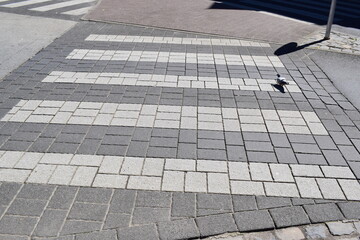 pigeon using a crosswalk - obrazy, fototapety, plakaty