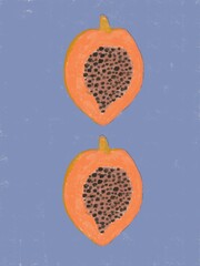 Fresh and Exotic Hand drawn Papaya slice Illustration. Abstract Fruit Art. Modern Contemporary Apparel Designs. Modern Botanical Print, home decor poster.