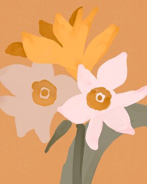 Pastel Daffodil Flowers bouquet illustration. Print design. Hand drawn Illustration. Poster, card, clothes design, invitation. Abstract vintage art.
