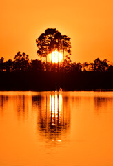 Bright orange sunset reflected in calm water of Pine Glades Lake in Everglades National Park, Florida.