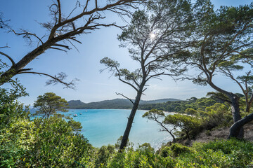 Beautiful Notre Dame beach (Plage Notre-Dame) on Porquerolles island (l'île de Porquerolles), France