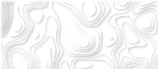 Abstract geometric layered curve line white background. 3d white papercut topography relief. Cover layout template. paper cut topography soft background banner texture. light liquid wave illustration.