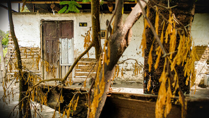 Old abandoned house in Natagaima - Tolima – Colombia