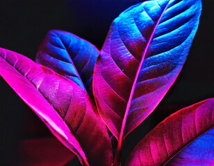 Close-up of tropical plant leaf. Tropical plant branches. Plant twigs. Website banner, sustainability, environment. Plant background. Nature and flora.