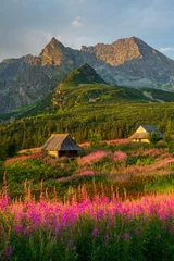 Papier Peint photo Tatras Tatra mountains vertical landscape, Poland colorful flowers and cottages in Gasienicowa valley (Hala Gasienicowa), warm summer morning with mountain peaks in the background