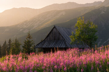 Old highlanders cottage in Tatra mountains Poland with colorful flowers and in Gasienicowa valley (Hala Gasienicowa), at warm summer morning