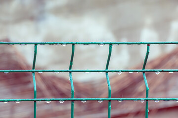 Wet green fence against a background of green nature. Drops. Iron mesh fence close-up.