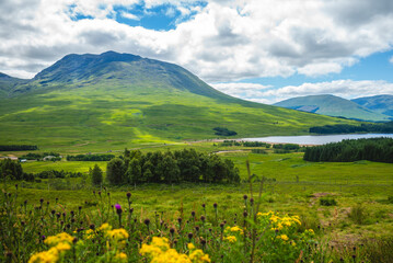 scenery of Loch Lomond at highlands in scotland, united kingdom - 754951670