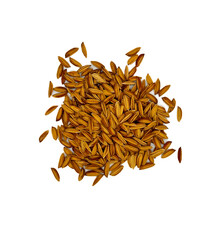 Rice as cereal grain, domesticated rice is the most widely consumed staple food for over half of...