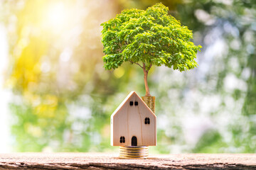 Home and stack coin and tree with growing on the top put on the desk in the office, Saving for buy house and real estate or loan for business investment concept.
