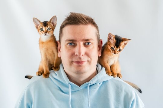 Smiling funny man in blue hoodie with twin Abyssinian cats, small newborn kittens sitting on shoulders. White background. Happy pets, fluffy domestic animals. Cute, friendly, animal kitty lovers