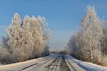 Obraz premium Russia. South of Western Siberia, Kuzbass. Winter trees covered with frosty white frost along the road to the village of Aspen Pleso.