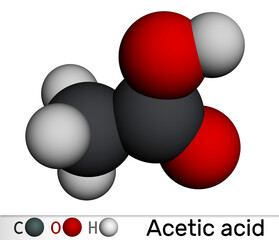 Acetic acid, ethanoic acid, CH3COOH molecule. Molecular model. 3D rendering