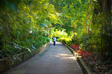 Beautiful walkway in an island beach resort in the Phillipines. This is in Samal Island