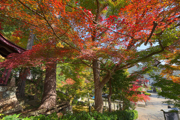 Naklejka premium 鳳源寺