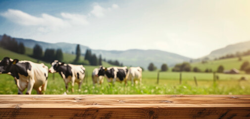 Empty wooden table for product demonstration and presentation on the background of summer pasture with grazing cows. Banner