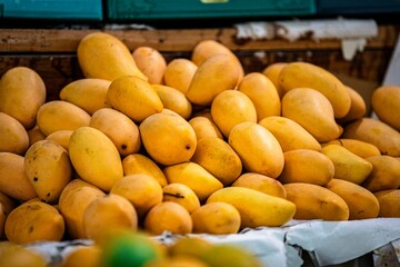 The crates of fresh golden mangoes exude tropical allure, their vibrant hues and succulent fragrance promising a taste of sunshine and sweetness.