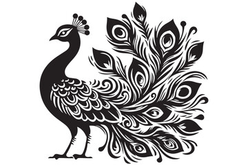 peacock silhouette vector  illustration