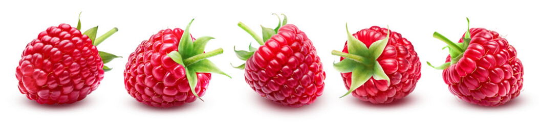 Set of five ripe raspberries with sepals isolated on a transparent background.