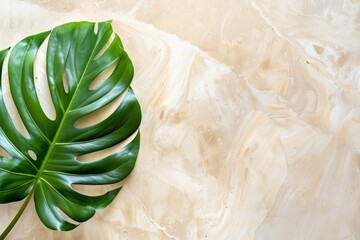 Close-up view of a vibrant green tropic leaf placed on a beige marble background with natural swirl patterns. Top view, flat lay. Copy space.