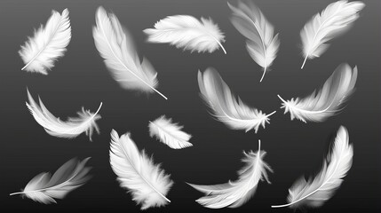 Soft white feathers, realistic modern illustration of angels, geese, swans, and doves. Lightweight feather set, realistic illustration with white feathers.