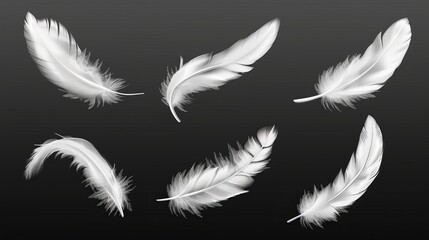 Soft white feathers on transparent background. Fuzzy feathers of angel, goose, swan, or dove. Modern realistic illustration, lightweight feathers set.